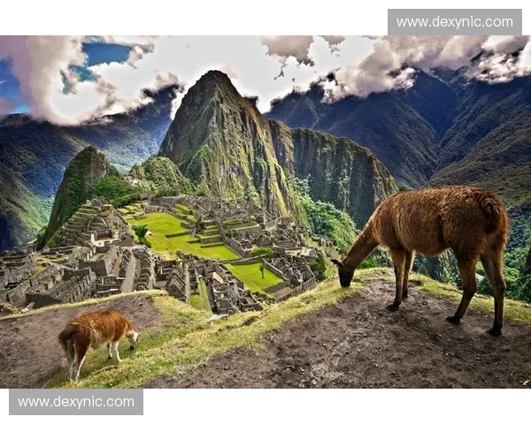 灵魂的博弈：列伯尼vs赫尔辛，谁才是你精神世界的终极归宿？